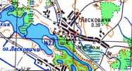 Лесковичи, деревня карта 1970 г.