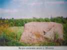 Подборка камней (валунов) Шумилинского района